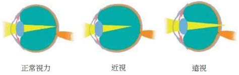 阿杰和慧琳笔趣阁都市奇缘李伟杰在线阅读小说